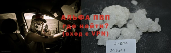 прущие грибы Балахна