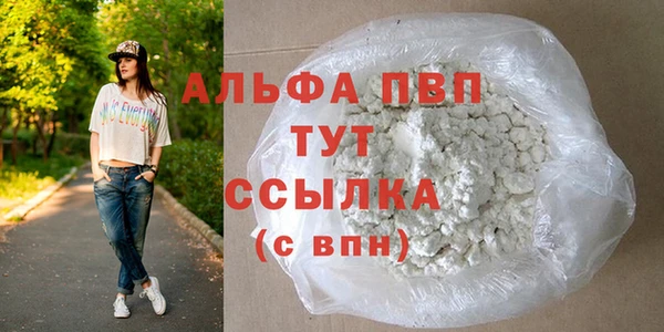 шишки Приозерск