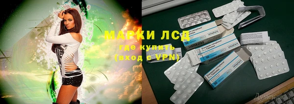 прущие грибы Балахна
