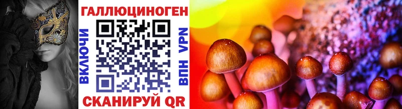 Псилоцибиновые грибы мицелий  Дигора 